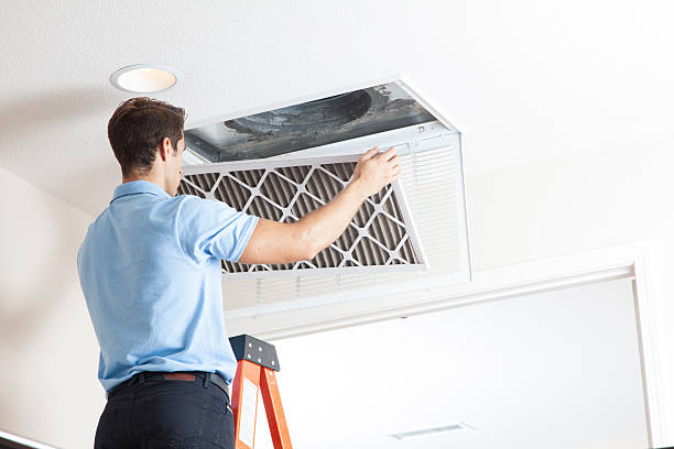 Best Best HVAC Companies  in Janesville, MN